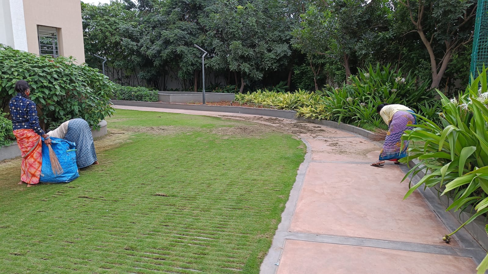 Lawn Care